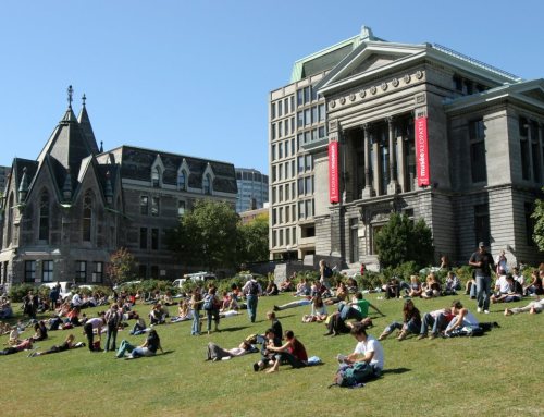 Canada Slashes New Study Permits by 70%—Could This Be a Hidden Opportunity for Local Students?
